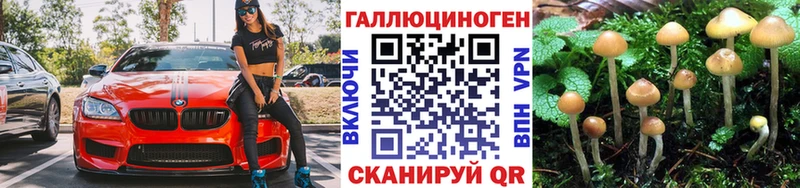что такое наркотик  Никольское  Галлюциногенные грибы Magic Shrooms 